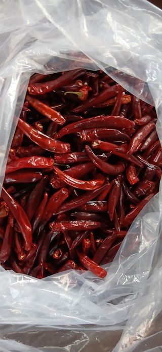 정연섭님의 기타작물 · 영농일지 작성글 사진
