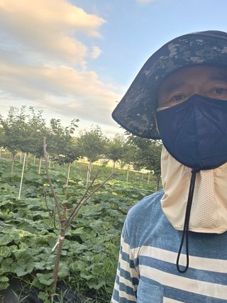 이종문님의 호박 · 영농일지 작성글 사진