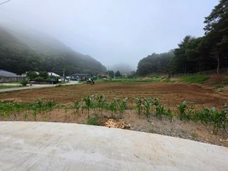 강정아님의 사과 · 영농일지 작성글 사진