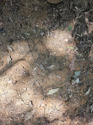 조정은님의 기타작물 · 영농일지 작성글 사진