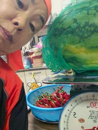 봉림동664태진농장님의 기타작물 · 영농일지 작성글 사진