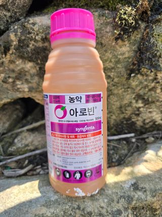 조정미님의 작성글 사진