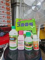 팜모닝 기타작물·영농일지 게시글 이미지