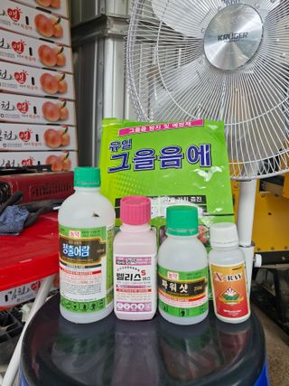 성은모님의 기타작물 · 영농일지 작성글 사진