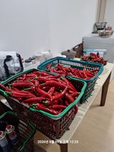 팜모닝 기타작물·영농일지 게시글 이미지