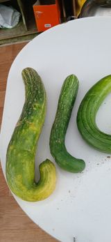 정연섭님의 작성글 사진