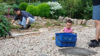 이상철님의 기타작물 · 영농일지 작성글 사진