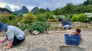 이상철님의 기타작물 · 영농일지 작성글 사진