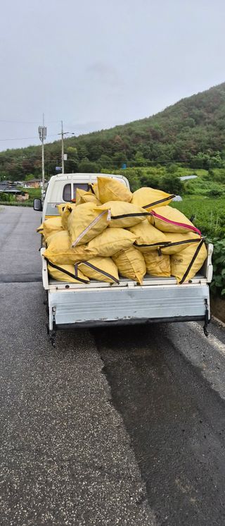 김동철(고추,사과)님의 고추 · 영농일지 작성글 사진
