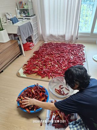 이수홍(이창희)님의 기타작물 · 영농일지 작성글 사진