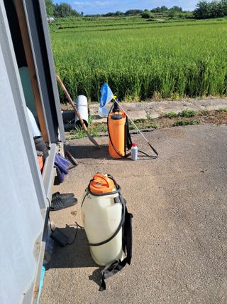 이복길님의 벼 · 영농일지 작성글 사진