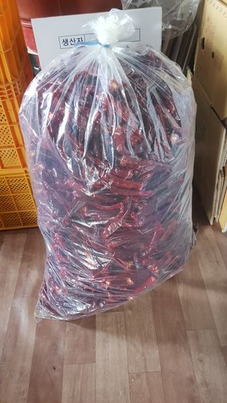 최춘득 청대산 님의 고추 · 영농일지 작성글 사진