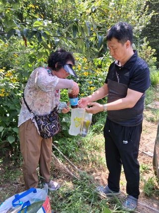 최한기님의 기타작물 · 영농일지 작성글 사진