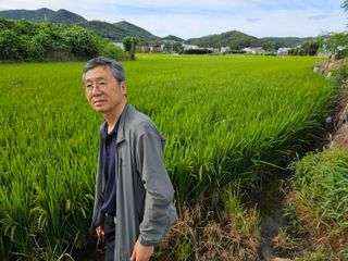 넥스젠님의 벼 · 영농일지 작성글 사진