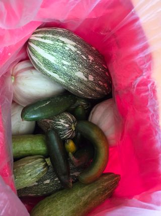 뚜비맘님의 기타작물 · 영농일지 작성글 사진