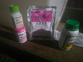 해근님의 고추 · 영농일지 작성글 사진