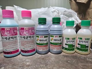 김상엽님의 딸기 · 영농일지 작성글 사진