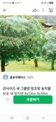 홈 갤러리 이미지