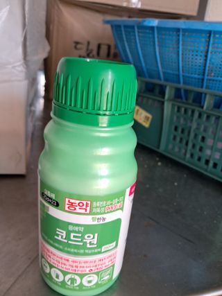 배종규님의 기타작물 · 영농일지 작성글 사진