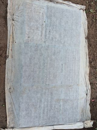이시형님의 배추 · 영농일지 작성글 사진
