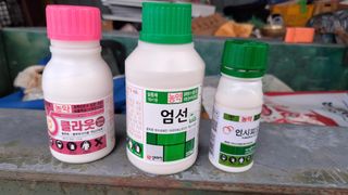 장원팜님의 배 · 영농일지 작성글 사진