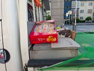 철남 김희곤님의 복숭아 · 영농일지 작성글 사진