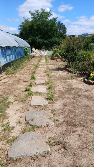 이상철님의 기타작물 · 영농일지 작성글 사진