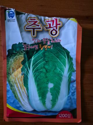 이시형님의 배추 · 영농일지 작성글 사진