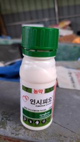 팜모닝 배·영농일지 게시글 이미지