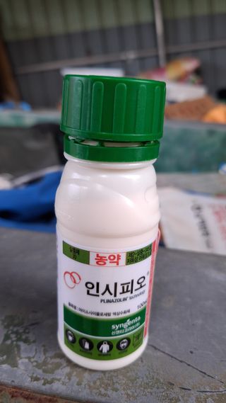 장원팜님의 배 · 영농일지 작성글 사진