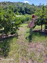 손길준님의 작성글 사진
