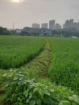 전갑영님의 작성글 사진