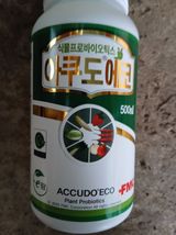 라이온3241님의 작성글 사진