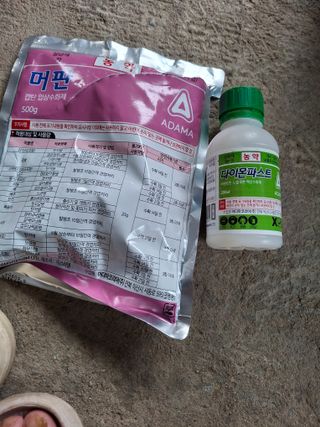 흑포님의 사과 · 영농일지 작성글 사진