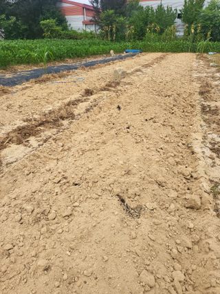 성인택님의 기타작물 · 영농일지 작성글 사진