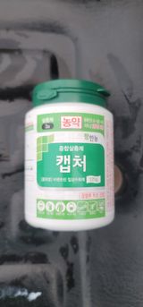 김경민님의 작성글 사진