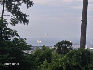 Captain김상곤님의 고추 · 영농일지 작성글 사진