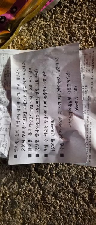 김동철(고추,사과)님의 사과 · 영농일지 작성글 사진