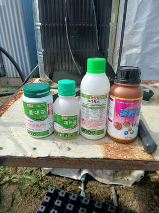 Smy1245678님의 기타작물 · 영농일지 작성글 사진