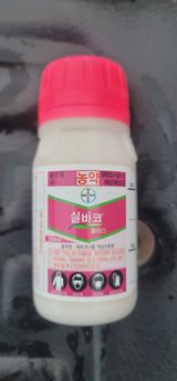 김경민님의 작성글 사진