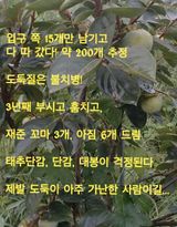 팜모닝 기타작물·영농일지 게시글 이미지