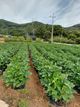 홈 갤러리 이미지