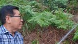 팜모닝 기타작물·영농일지 게시글 이미지