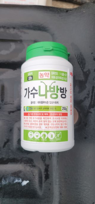 김경민님의 작성글 사진