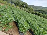 원술님의 작성글 사진