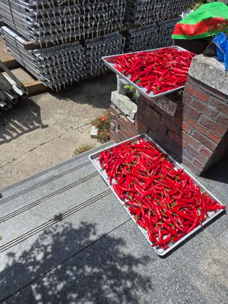 뚜벅이님의 작성글 사진