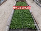 이경주님의 작성글 사진