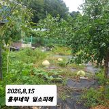 시민농장님의 작성글 사진