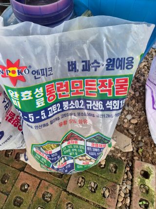허민성님의 배추 · 영농일지 작성글 사진