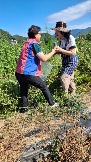 수기님의 토마토 · 영농일지 작성글 사진
